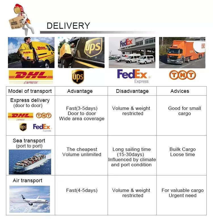 5 Shipping 5 Shipping